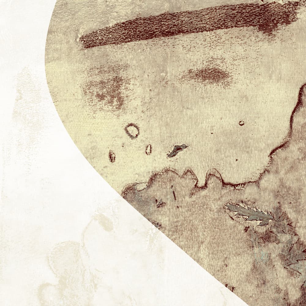 Abstract Earthy Texture by Dina Dankers — canvas wall art