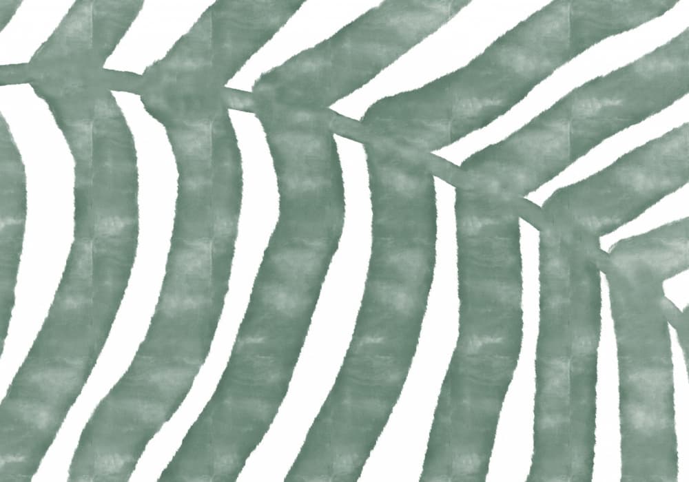 Sage Leaf Curves by Pictufy Studio II — canvas wall art