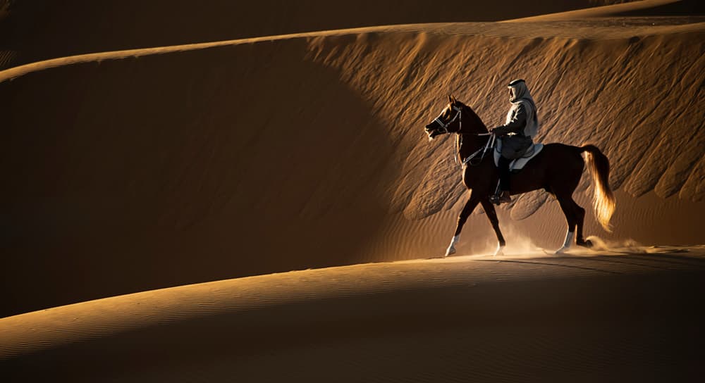 Golden Dune Ride by Yomn Almonla 🇸🇦 — canvas wall art