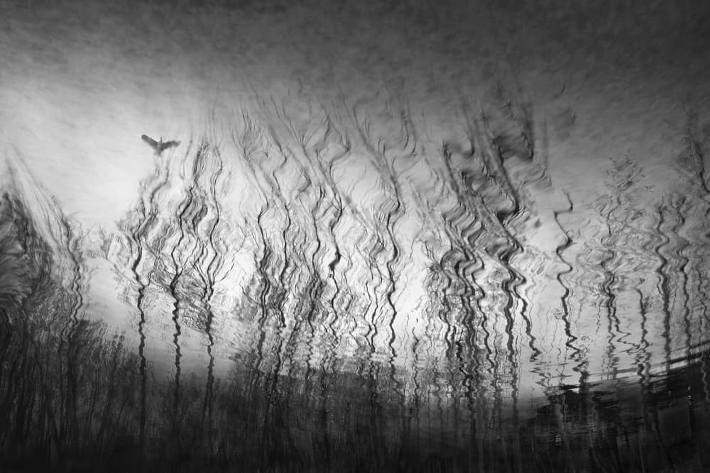Flight Through Reflections by Ekkachai Khemkum — canvas wall art