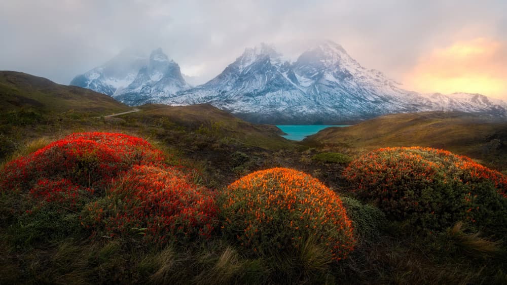 Misty Peaks Autumn Hues by Rong Wei — canvas wall art