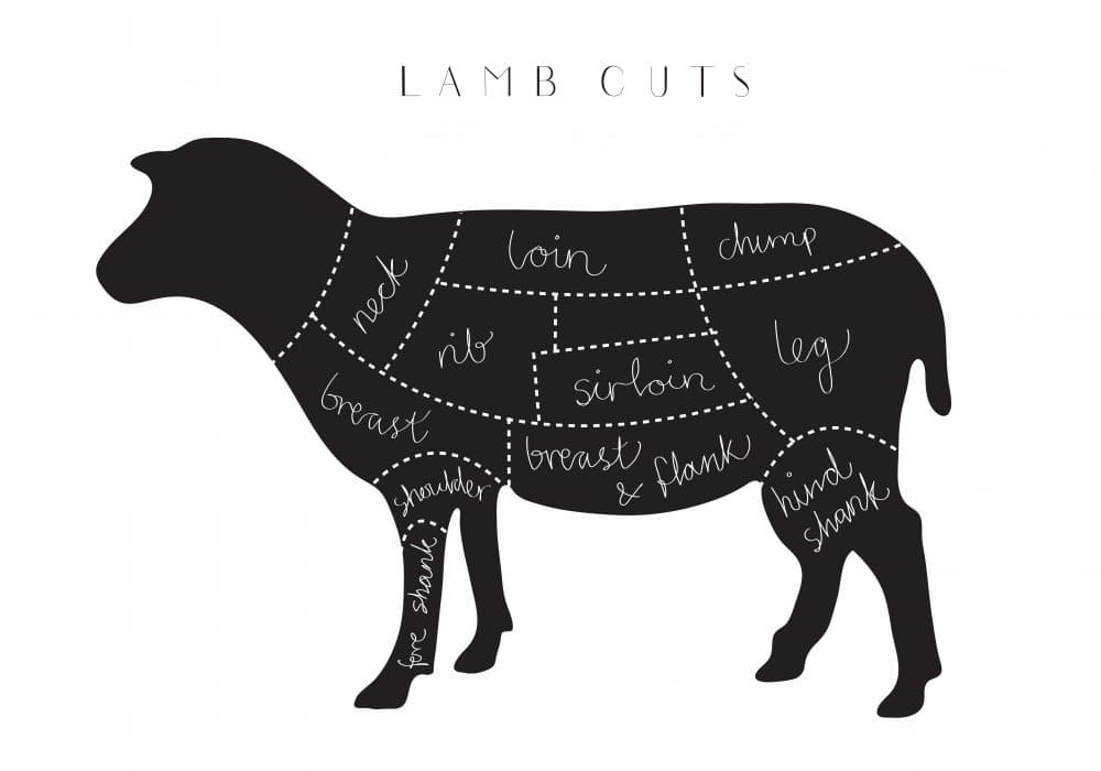 Lamb Cuts Diagram by Pictufy Studio II — canvas wall art