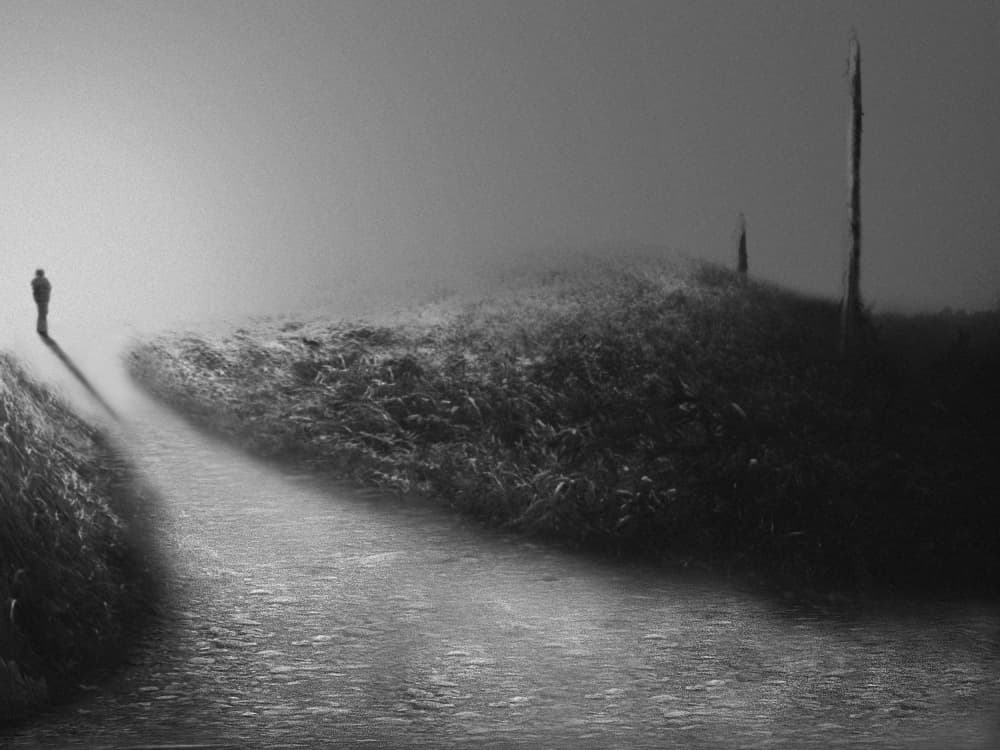 Solitary Path In Mist by David Senechal Photographie (polydactyle) — canvas wall art