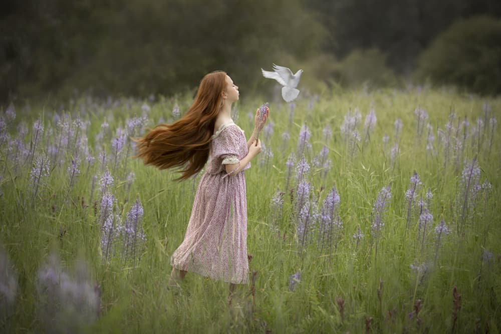 Dreamy Girl and White Dove by AYMAN KHRBAWE — canvas wall art