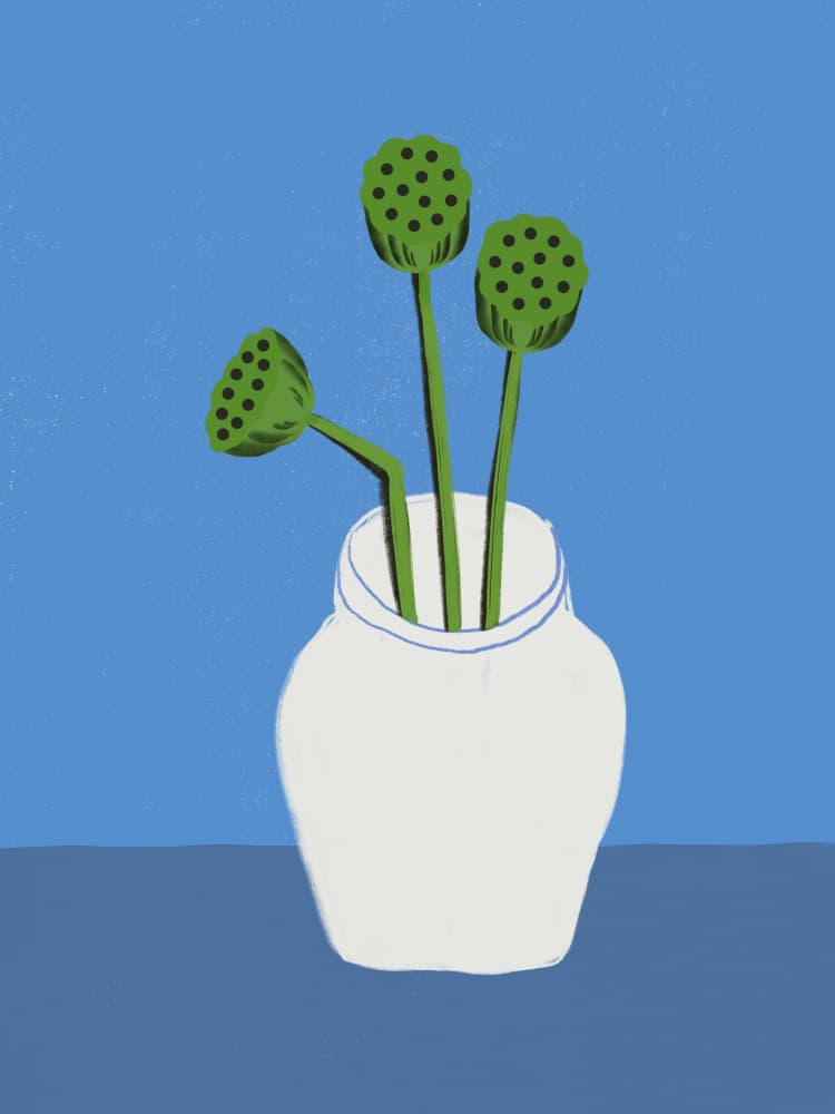 Lotus Pods Still Life by Little Dean — canvas wall art