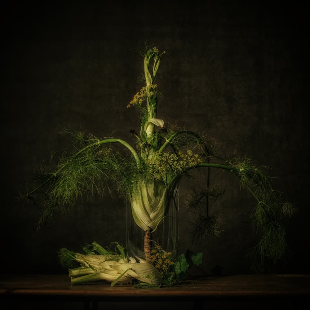 Moody Fennel Still Life by Monique van Velzen — canvas wall art