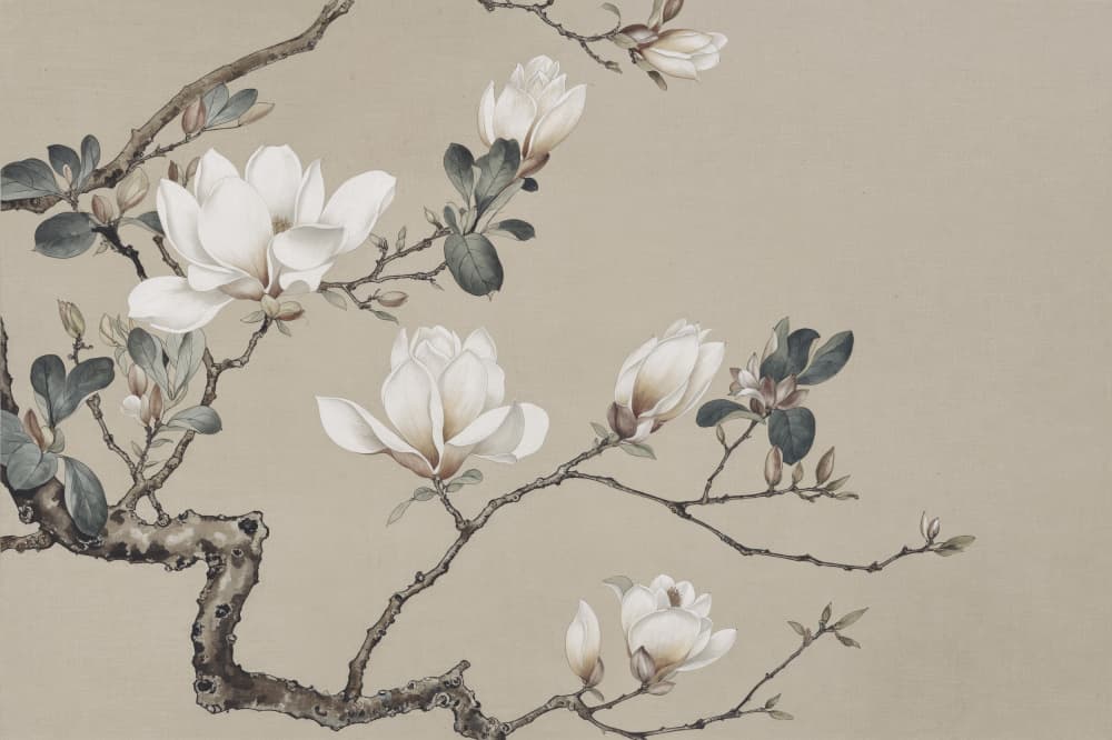 Elegant Magnolia Blooms by Andrea Haase — canvas wall art