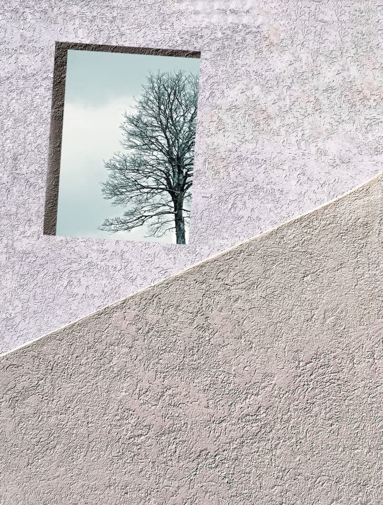 Minimalist Winter Tree by Raffaele Corte — canvas wall art