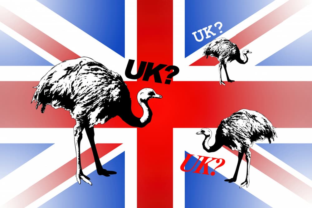 UK Ostriches Question by Rafal Kulik — canvas wall art
