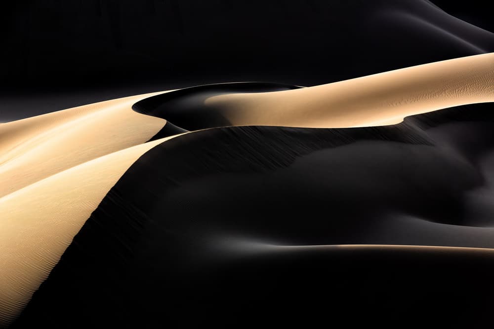 Abstract Dune Shadows by Mohammadreza Momeni — canvas wall art