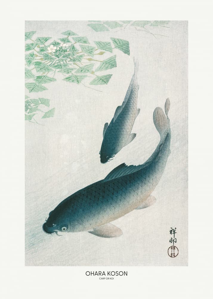 Carp Or Koi by Ohara Koson — canvas wall art