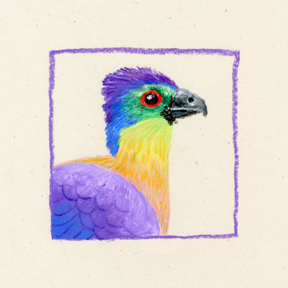 Vibrant Colorful Bird by Martina Scott — canvas wall art