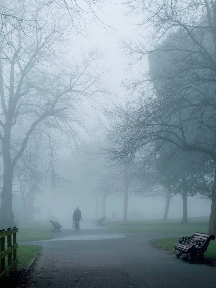 Misty Park Walk by Elizabeth Allen — canvas wall art