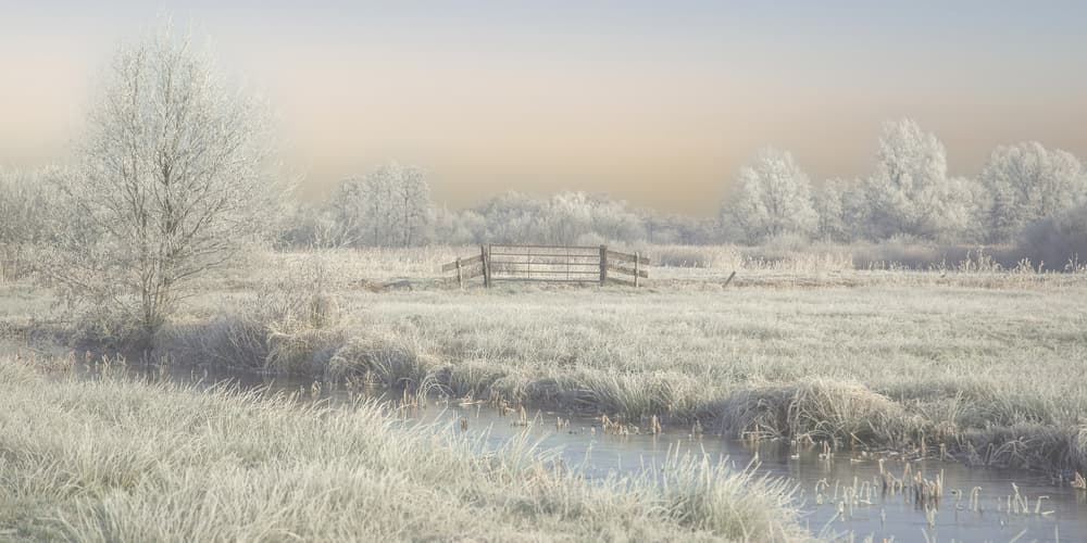 Frosted Winter Landscape by Annie Keizer — canvas wall art