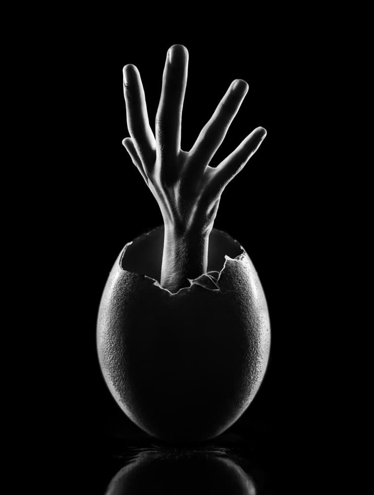 New Life Emerging by Jackson Carvalho — canvas wall art