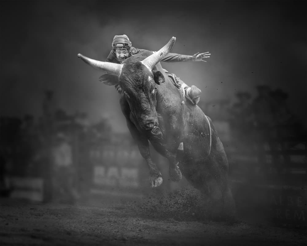 Rodeo Bull Ride by Leeian Dai — canvas wall art