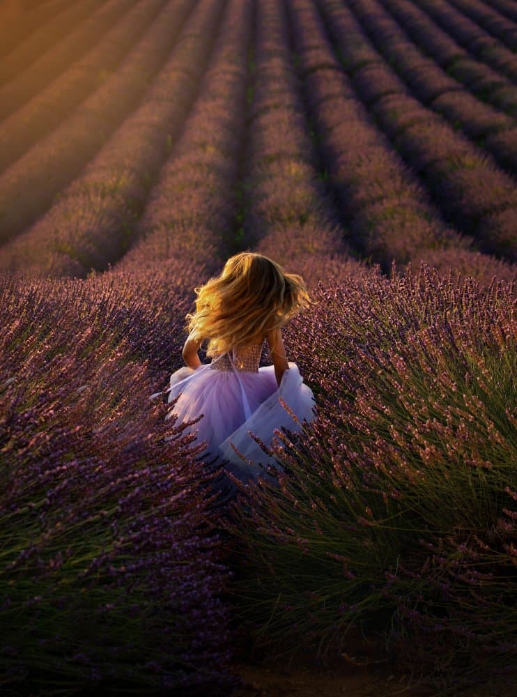 Golden Lavender Girl by Mei Hu — canvas wall art