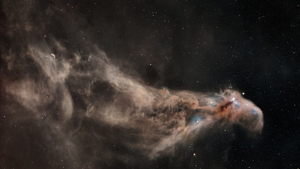 Cosmic Dust Plume by Vikas Chander — canvas wall art