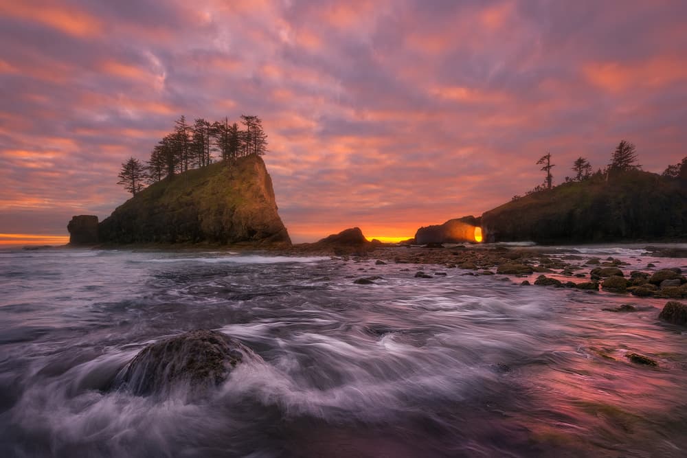 Earth Dances by Chris Moore — canvas wall art