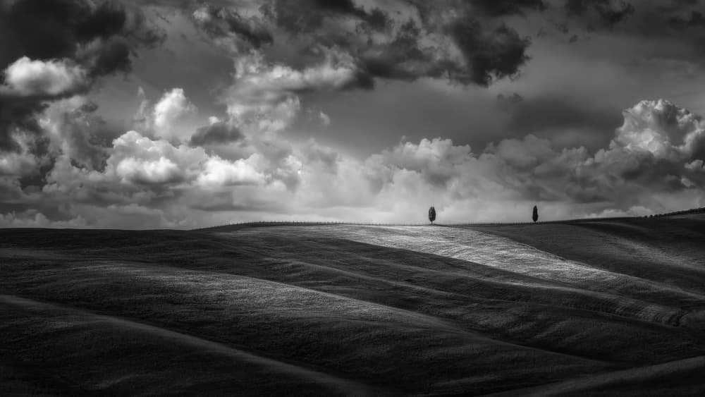 Dramatic Hills Two Trees by Thomas de Franzoni — canvas wall art
