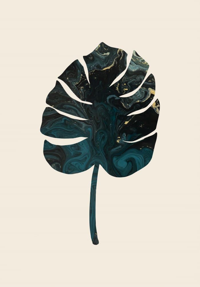 Marbled Monstera Leaf by Pictufy Studio — canvas wall art