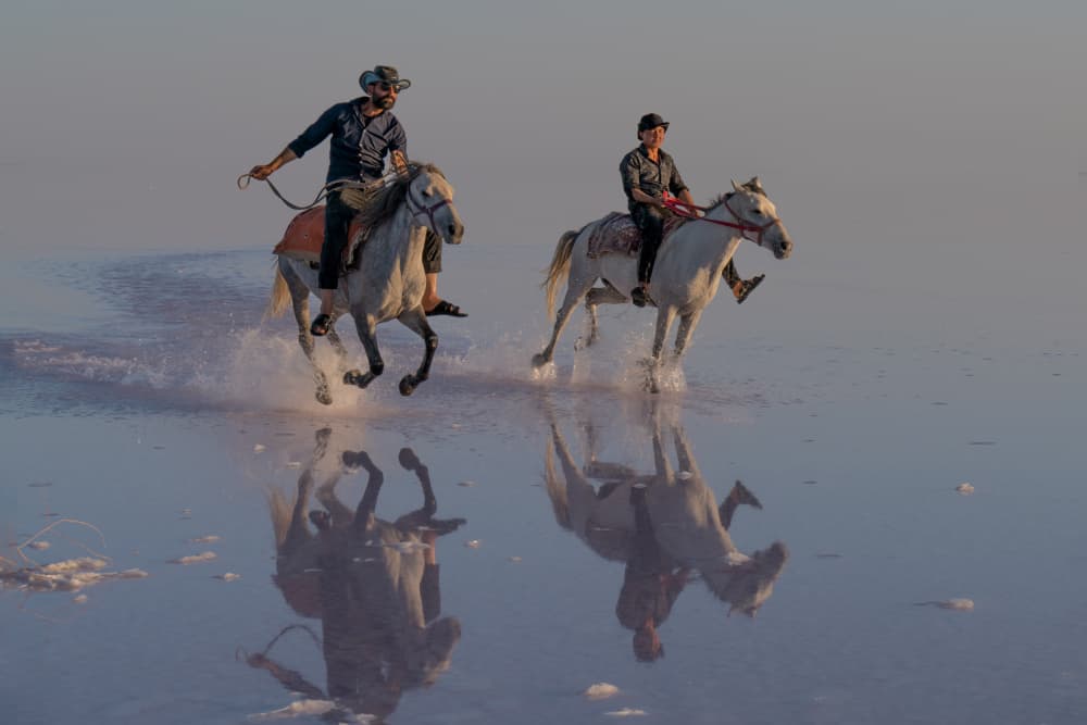 Majestic Horses Water Reflection by Lisdiyanto Suhardjo — canvas wall art