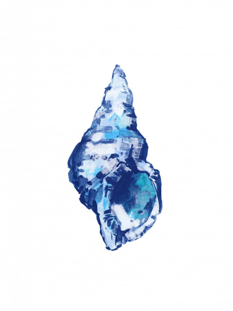 Abstract Blue Shell by cartissi — canvas wall art