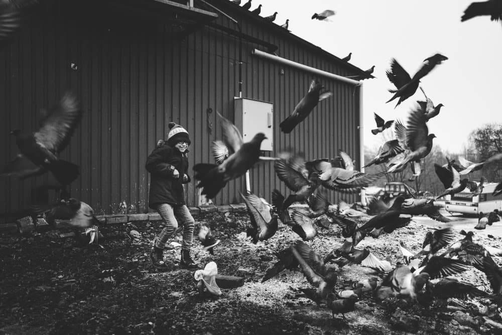 Playful Child and Pigeons by Alex Ogazzi — canvas wall art