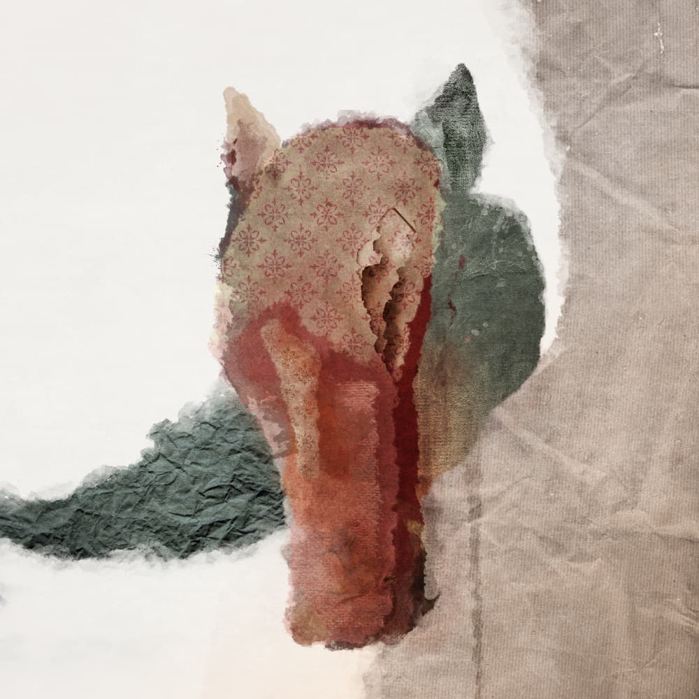 Abstract Horsehead by Emel Tunaboylu — canvas wall art
