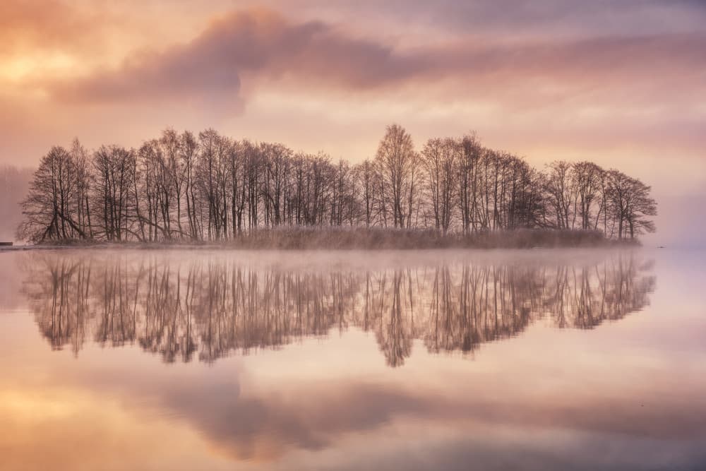 Misty Island Dawn by Benny Pettersson — canvas wall art
