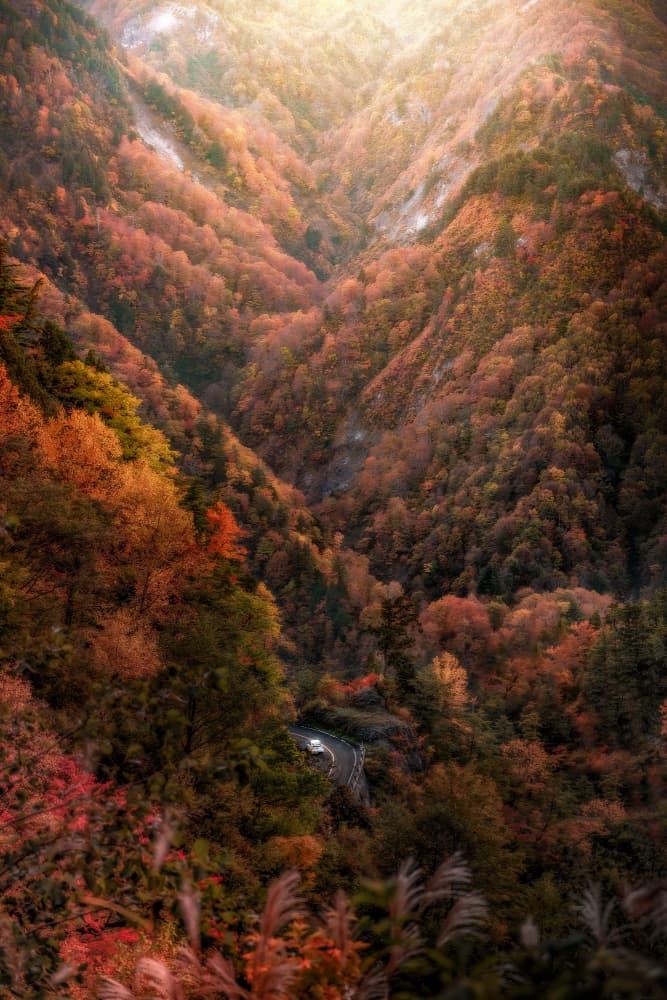 Autumn Valley Glow by まちゅばら/Hiroki Matsubara — canvas wall art