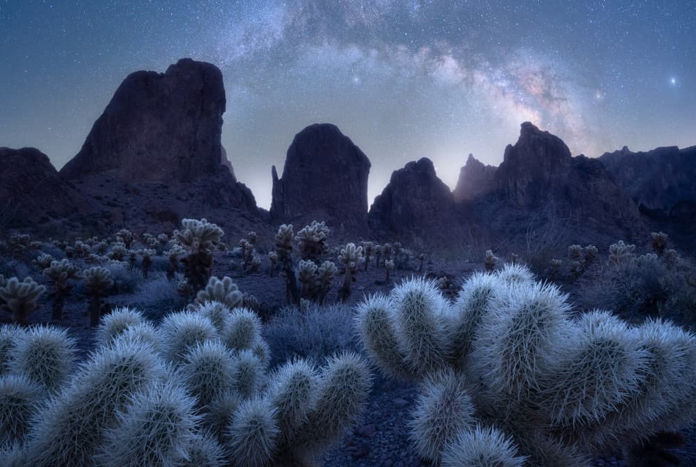 Desert Cacti Milky Way by Pritam De — canvas wall art