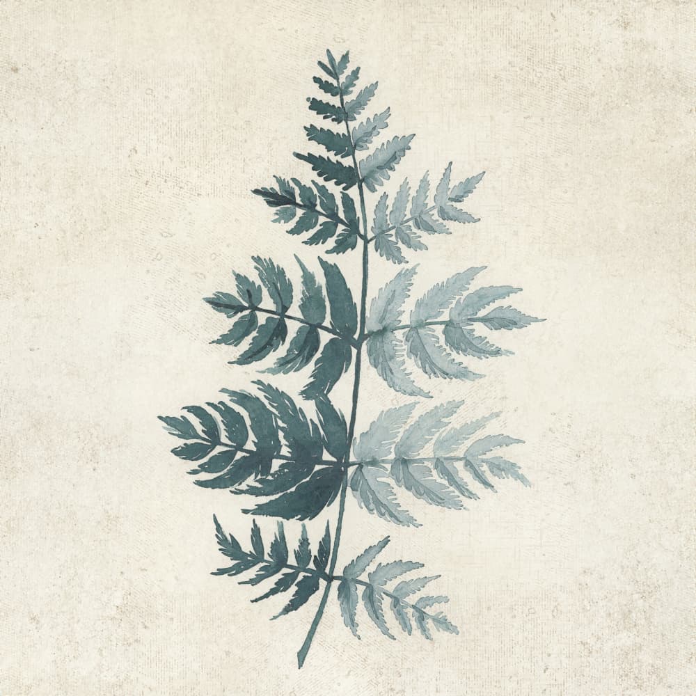 Delicate Blue Fern by Rosana Laiz Blursbyai — canvas wall art