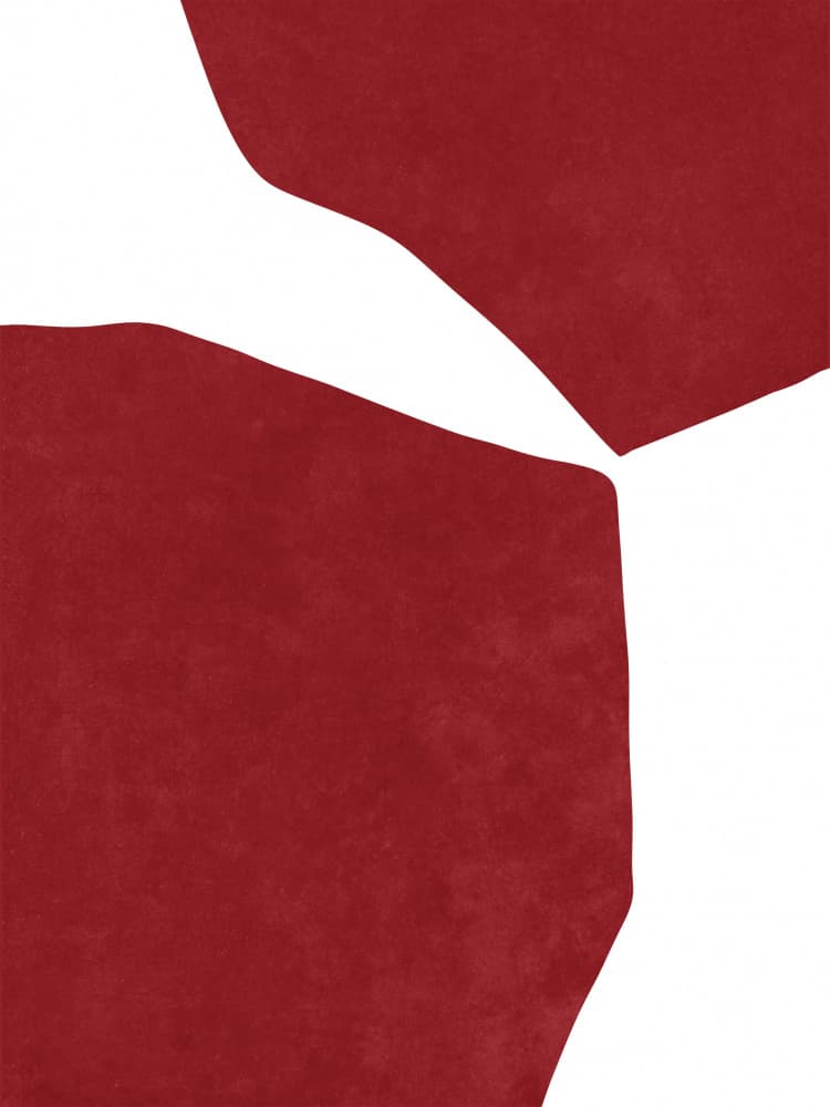 Abstract Red on white by Raissa Oltmanns — canvas wall art