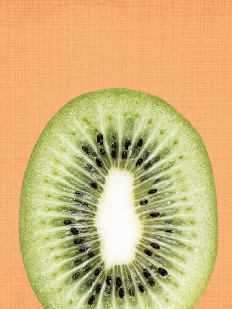 Fresh Kiwi Slice by Lila &amp; Lola — canvas wall art