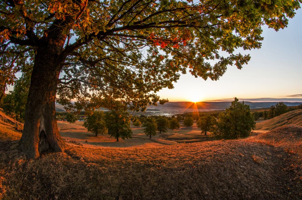Golden Valley Sunset by Gheorghita Nemtanu — canvas wall art