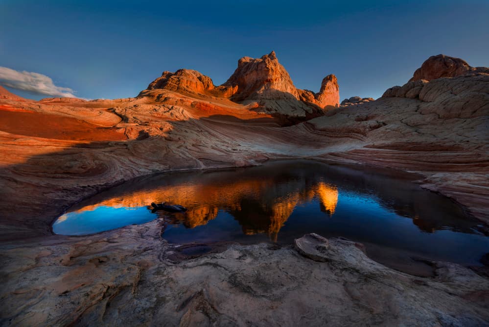 Desert Dawn Reflections by Hans Repelnig — canvas wall art