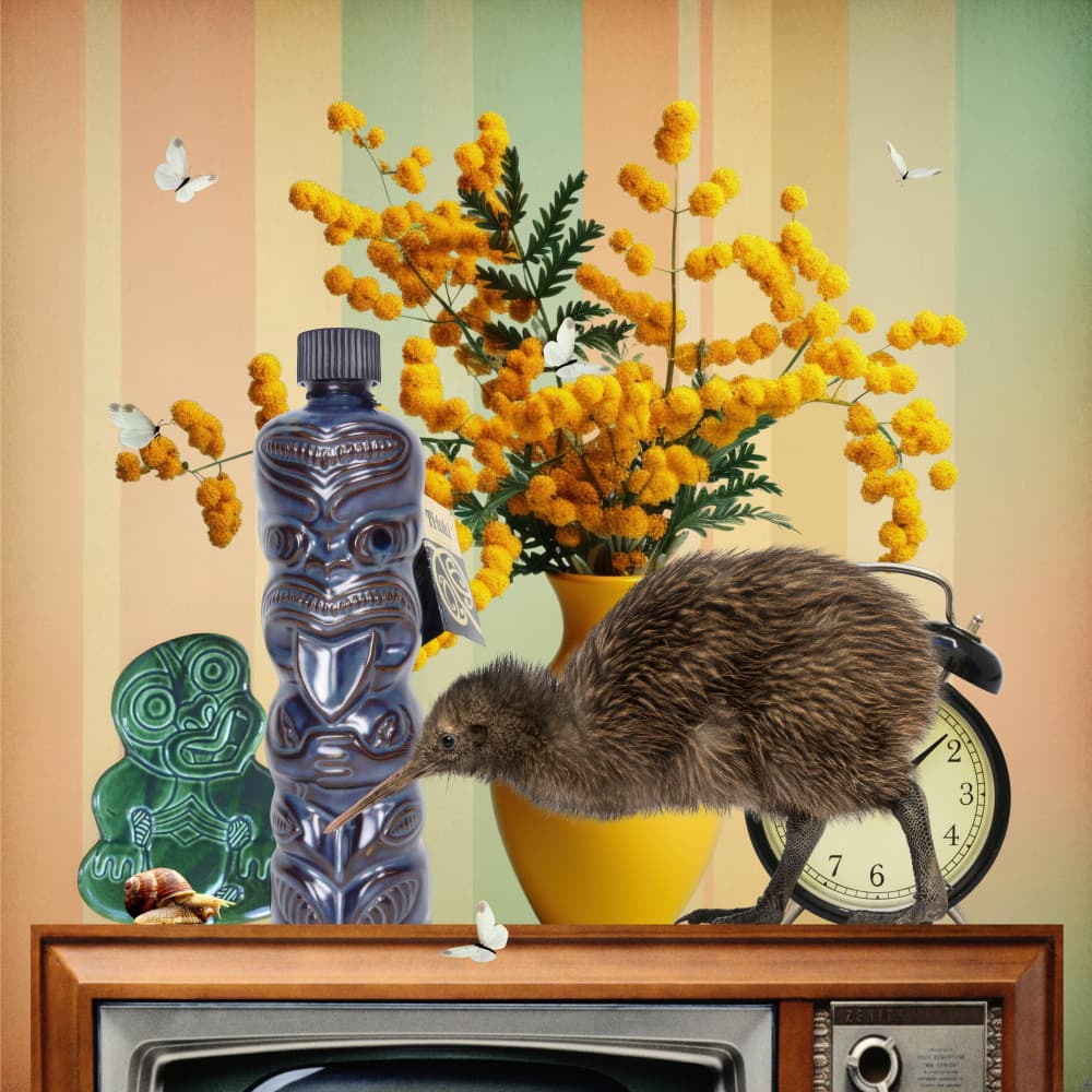 Whimsical Kiwi Still Life by Sue Skellern — canvas wall art