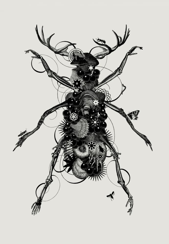 Surreal Insect Hybrid by Jaco Putker — canvas wall art