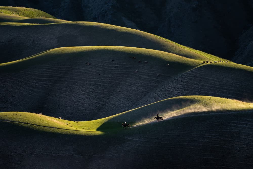 Riders on Golden Hills by Yuhan Liao — canvas wall art