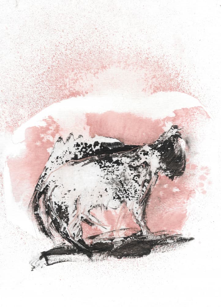 Dynamic Feline Sketch by Frederic Belaubre — canvas wall art