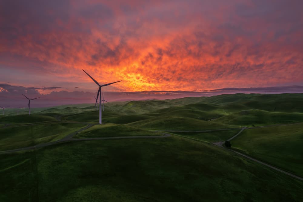 Wind Turbines At Sunset by Jenny Qiu — canvas wall art