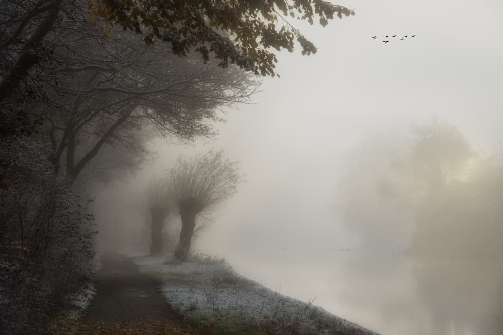 Misty day by Piet Haaksma — canvas wall art