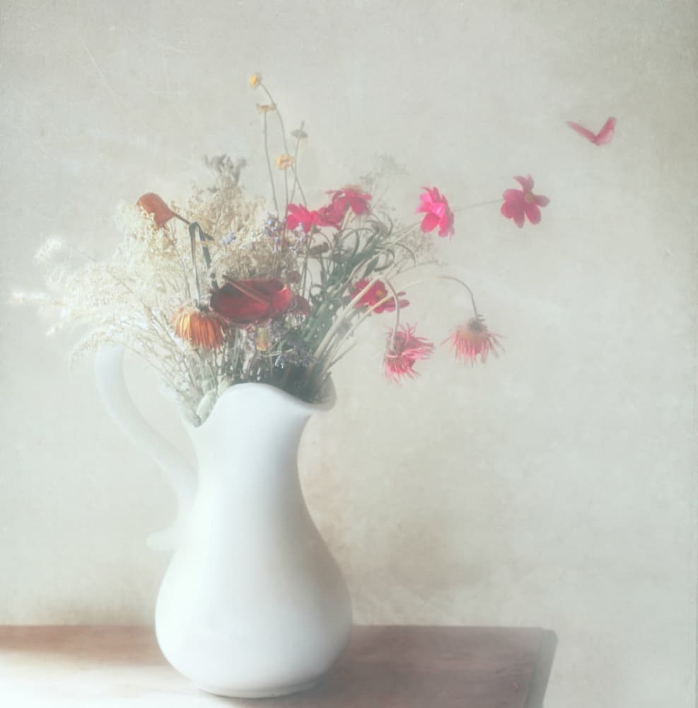 Dreamy Floral Still Life by Delphine Devos — canvas wall art