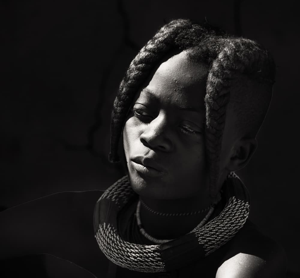 African Braids Portrait by Lisa D. Tang — canvas wall art