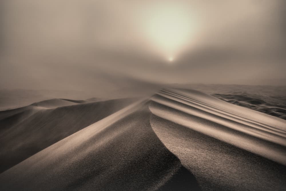 Misty Desert Dunes by Michel Guyot — canvas wall art
