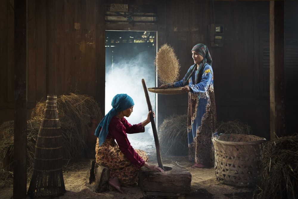 Rural Grain Harvest by Sita Gramich — canvas wall art