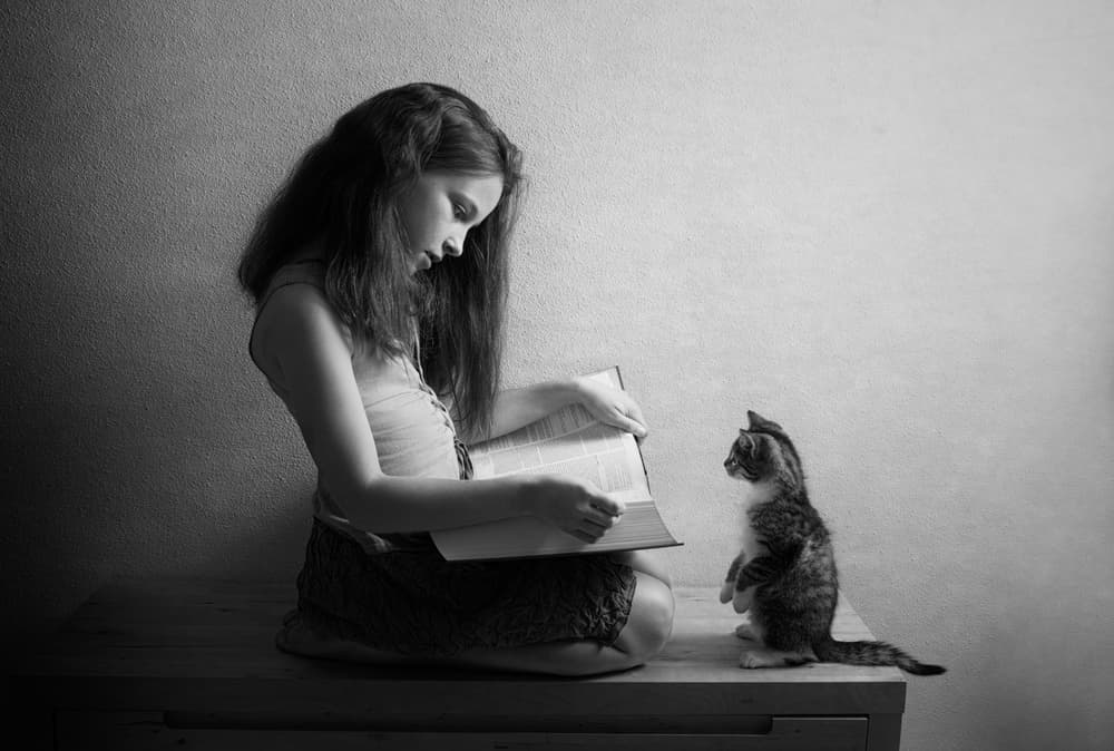 Girl And Curious Kitten by Mirjam Delrue — canvas wall art