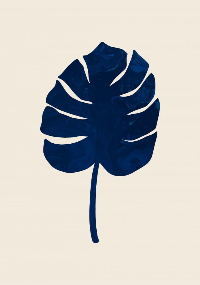 Navy Monstera Leaf by Pictufy Studio — canvas wall art