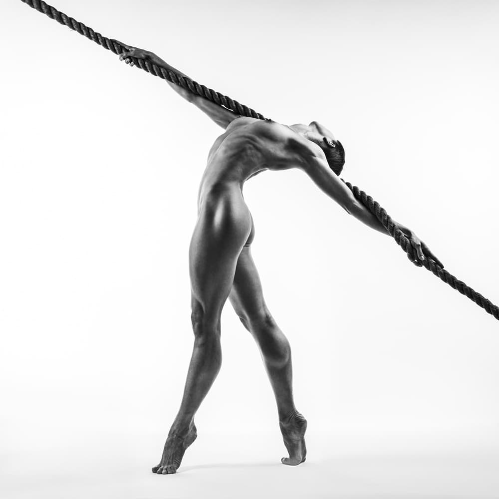 Strength and Balance by AURIMAS VALEVICIUS — canvas wall art